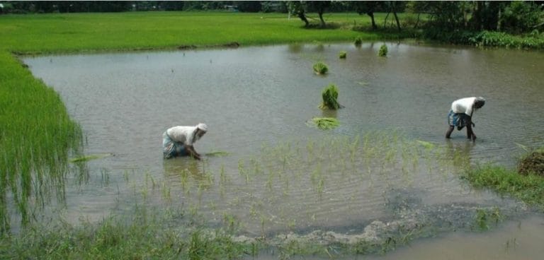 尽管降雨量增加，但在印度的可用地下水耗尽，发现了研究
